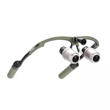 Professional dental loupes with light